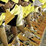 Fabrication de produits alimentaires et conserve de sardines, maquereaux et semi-conserves d'anchois